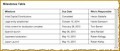 3 100 Day Action Plan Template Document Sample