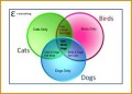 7 3 Circle Venn Diagram Template
