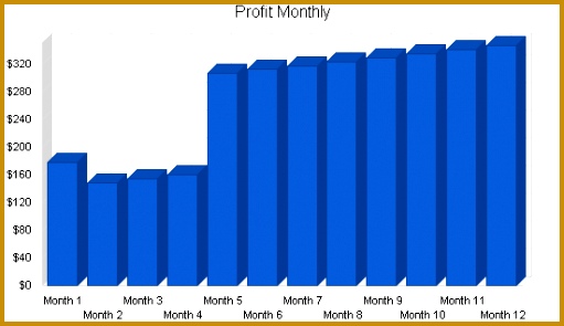 6 4 Projected Profit and Loss 295511
