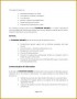3 Airline Gsa Proposal