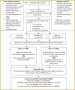 6 Anesthesia Record form Template