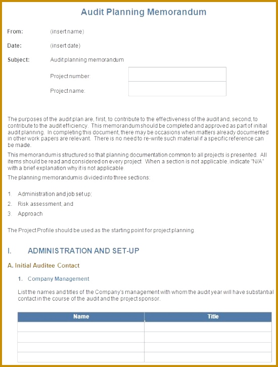 Memo Format Audit Strategy Memorandum Sample Format 12 Strategy 724550