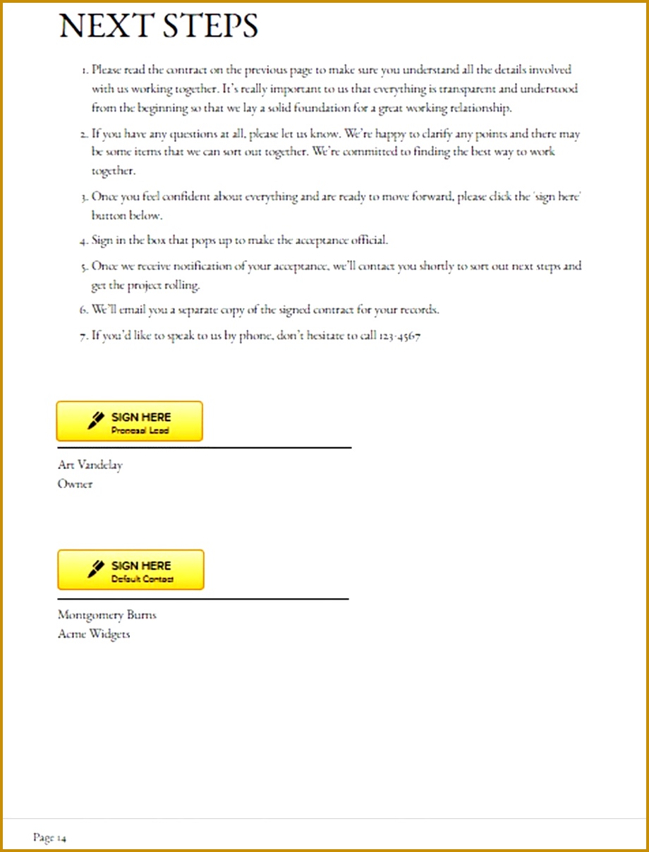 Web Audit Strategy Proposal Sample Signature Form 9201208