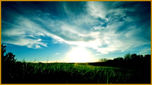 Full HD Wallpaper Find best latest Full HD Wallpaper for your PC desktop background & mobile 524294