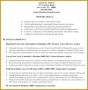 6 Business Analyst Cv Pdf