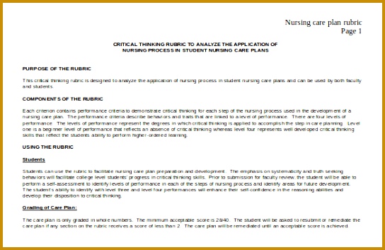 Doc Format Free Nursing Care Plan Template Download 353544