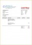 4 Cash Credit Memo format