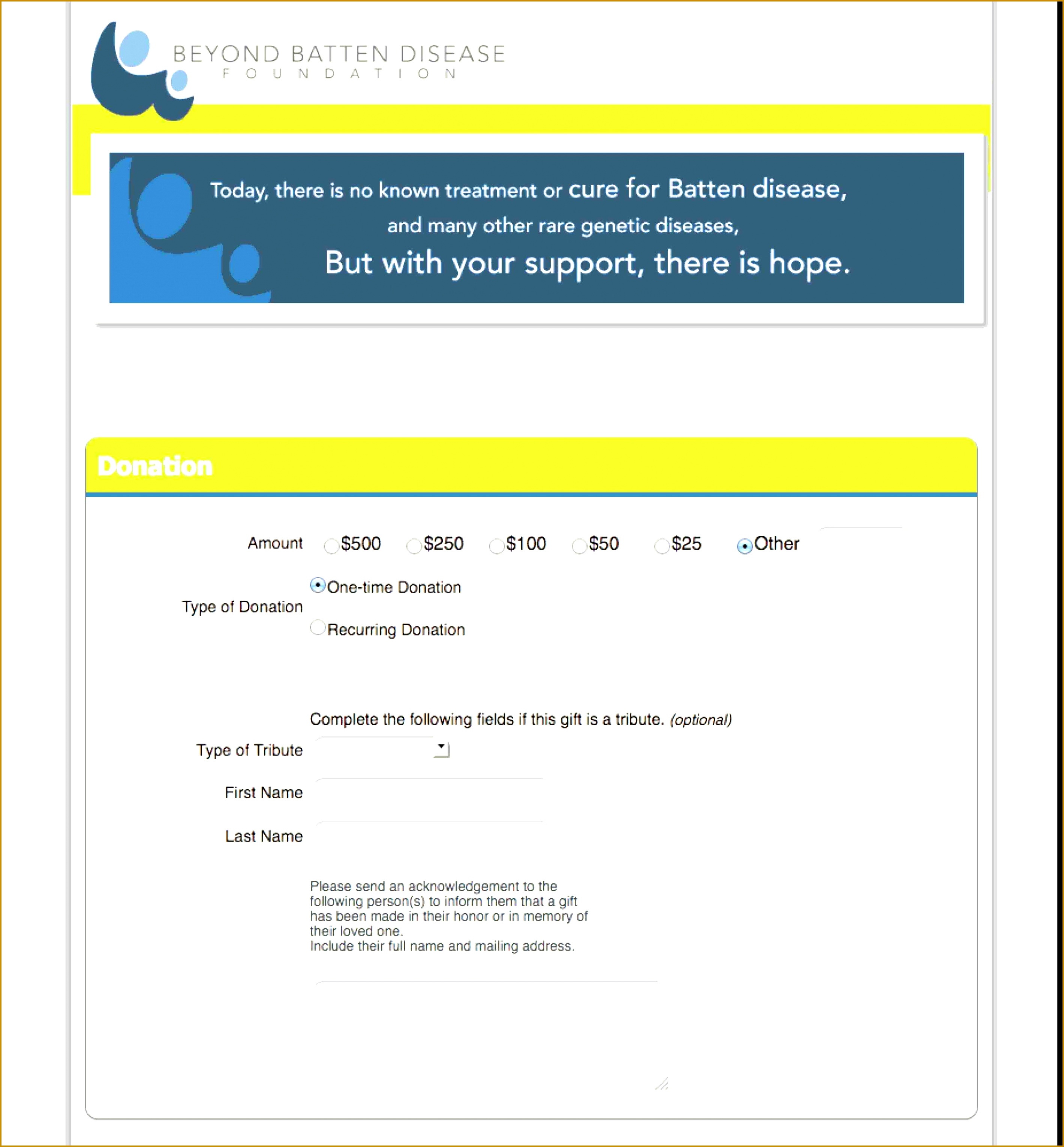 resume for truck driver invoice donation ledger paper invoice Charitable Donation Form Template for donation ledger 30592838