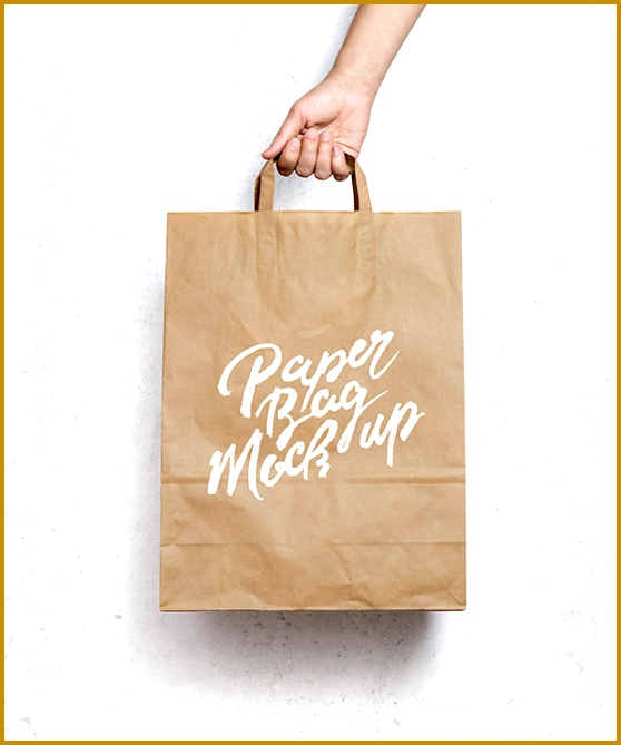 Brown Paper Bag Mockup 669558
