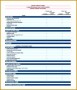 3 Common Size Balance Sheet Template