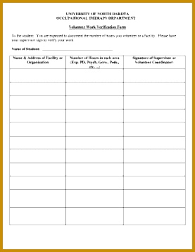 volunteer hours form 358277