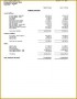 6 Comparative Balance Sheet Template