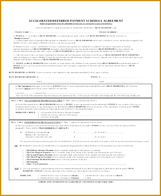 Payment Schedule Agreement Contract 678558