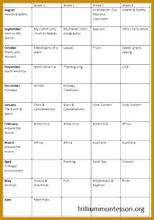 Organizing in Four Dimensions 312219