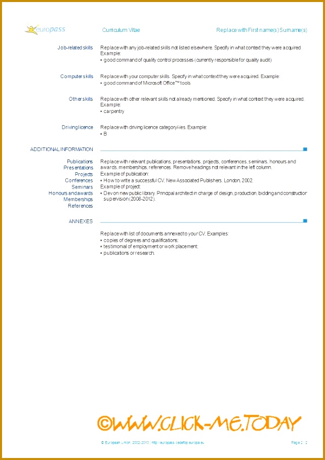 Cv profile example pdf 642908