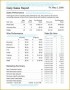 7 Daily Accomplishment Report Template