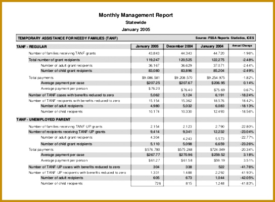 PDF Format Monthly Management Report Template 544399