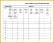 3 Daily Inventory Sheet