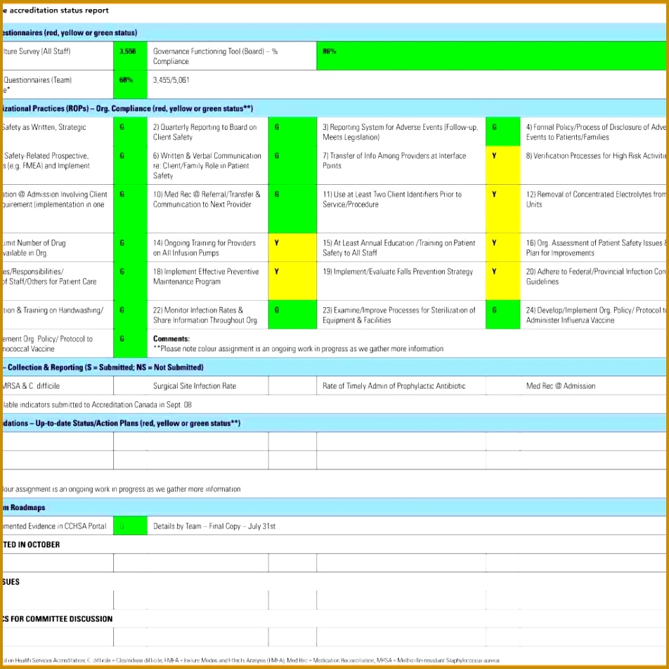 Daily Project Status Report Template
