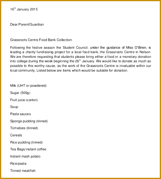 Example of a Charitable Donation Letter Template 604544
