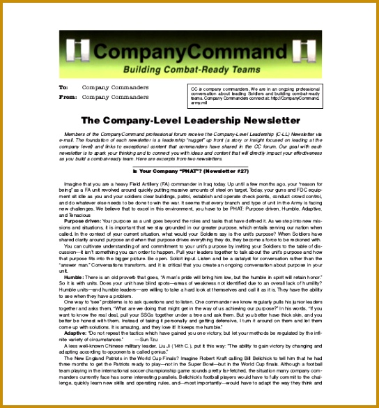 pany newsletter design 544585