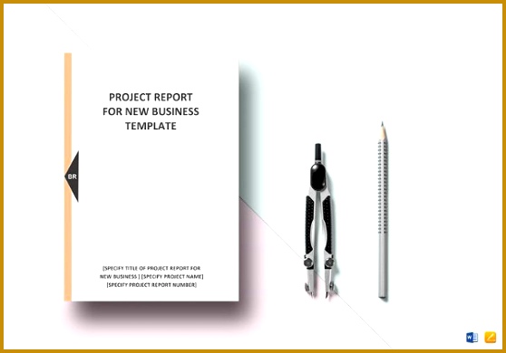 New Business Project Report 390558