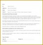 7 Executive Memo format Example