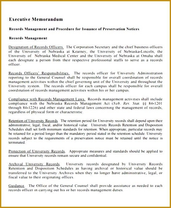 Executive Summary Memorandum 678558