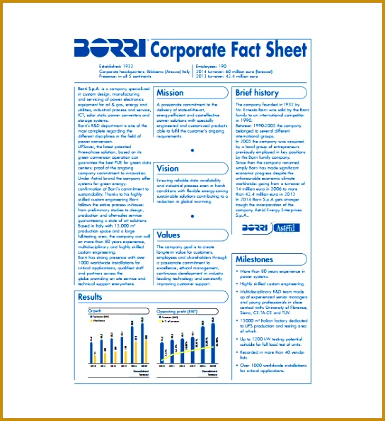 Corporate Fact Sheet Example PDF Template Free Download 594544