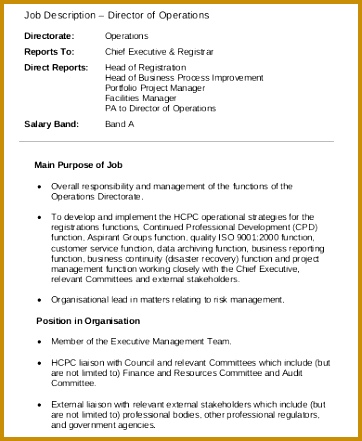 Operations Director Job Description in PDF 441362
