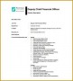 7 Finance Executive Job Description Pdf