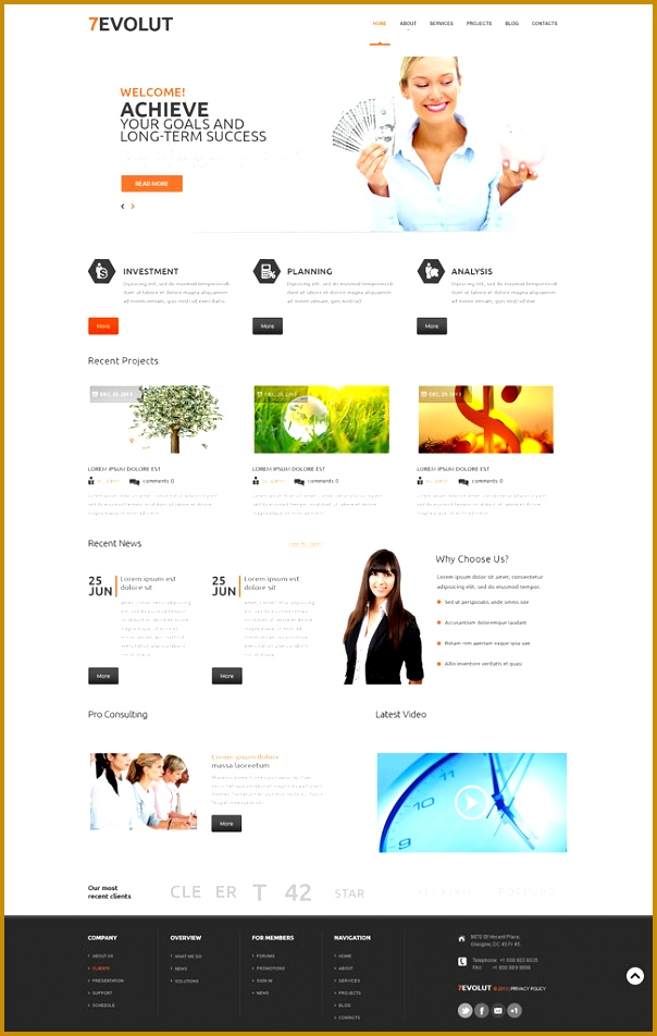Financial Advisor WordPress Theme 952604
