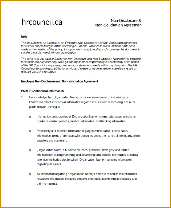 Employee Non Disclosure and Non solicitation Agreement 678558