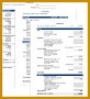 4 Financial Overview Template