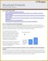 3 Financial Prospectus Template