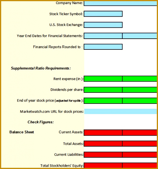Financial Analysis Ratios Format 581544
