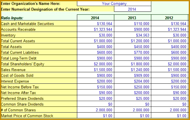 Financial Ratio Excel Calculator 387615
