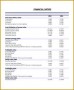 7 Financial Ratios Template