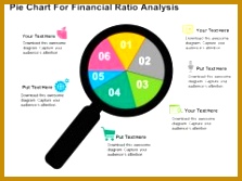 Pie Chart For Financial Ratio Analysis PowerPoint Template 167223