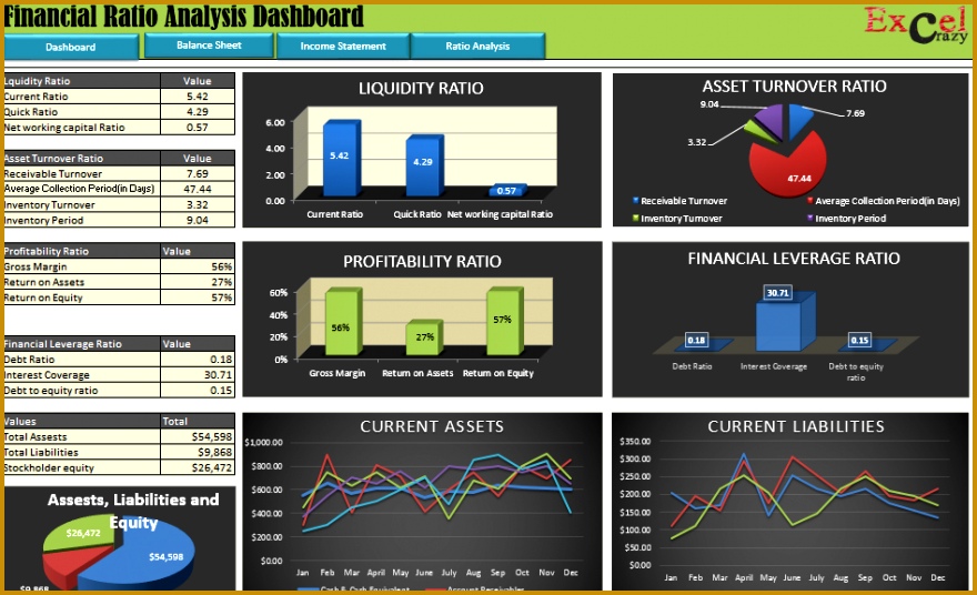 Financial Ratio Dashboard1 947577 536880