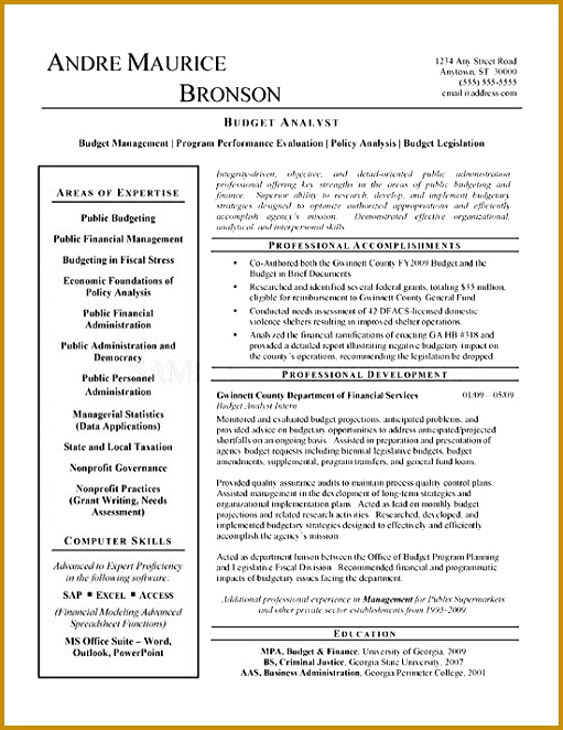 Analyst Resume Example 511662