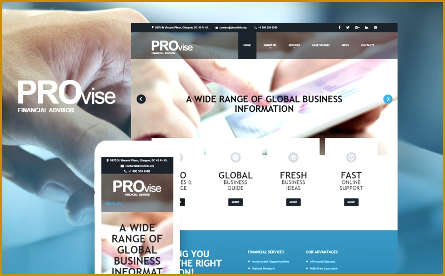 website design provise financial resume template resume builder 558899
