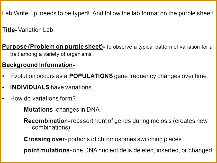 Lab Write up needs to be typed And follow the lab format on the 669892