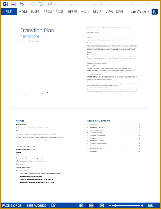 Transition Plan Template Blue Theme 531690