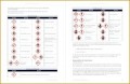 6 Ghs Safety Data Sheet Template