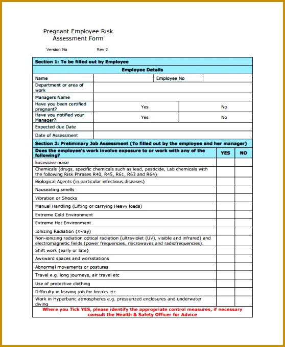 Maternity Health and Safety Risk Assessment Form 678558