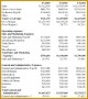 7 Healthcare Executive Summary Template