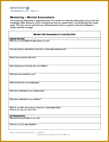 Mentee Assessment 383495