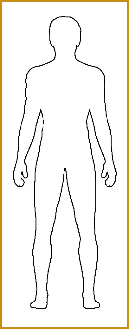 Male Body Template For Fashion Design 670264