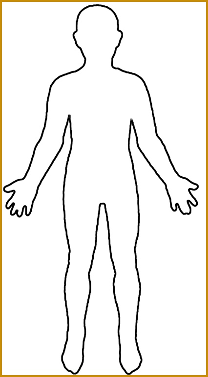 human body outline for kids 770426